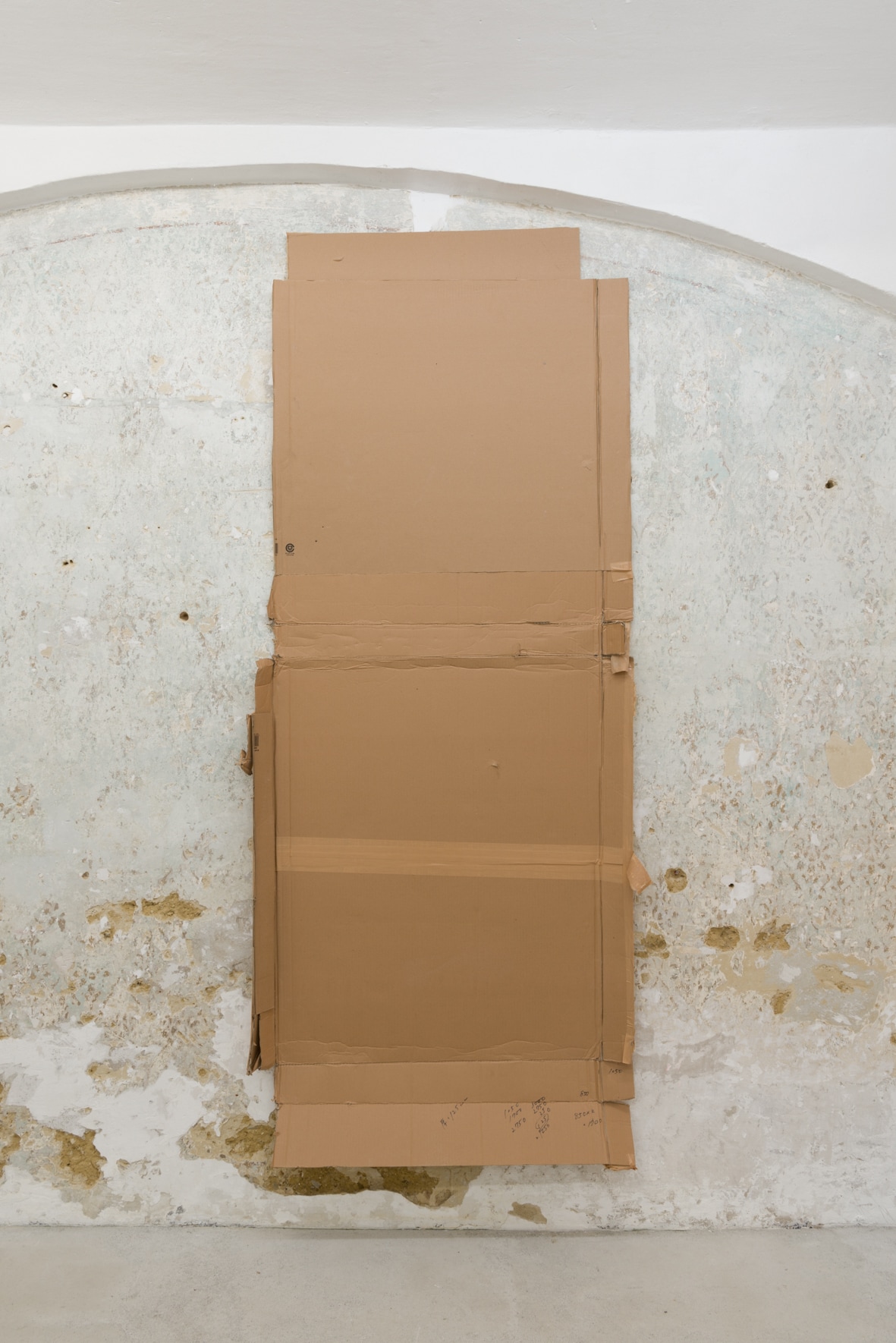 Yuu Takamizawa, Cardboard in Vienna, cardboard, 2020