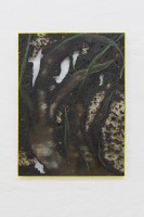 Davide Zucco, Black plant, 2017, oil, spray paint, pigment, aluminium foil, combustions and varnish on wood, plexiglass frame